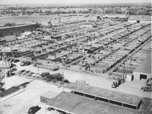 stockyards_early50ss-5266858