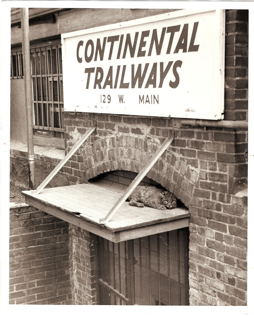 (FNB.2010.16.09) - Rear Entrance, Continental Trailways Ticket Office, 129 W Main