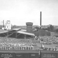 (BKT.2011.1.16) Cotton compress (BKT.2011.1.16) Cotton compress