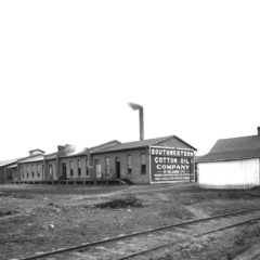 (BKT.2011.1.17) Cotton compress (BKT.2011.1.17) Cotton compress