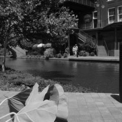 (canal.2011.02)