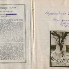 bricktown_collection_dean-1-28-08_wildflower_november1914_1 bricktown_collection_dean-1-28-08_wildflower_november1914_1