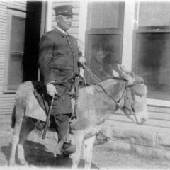 bricktown_collection_ocpd_ashburn-on-mule2