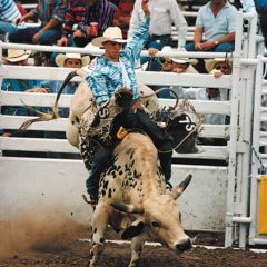 BullRiding