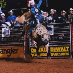 BullRidingOKC